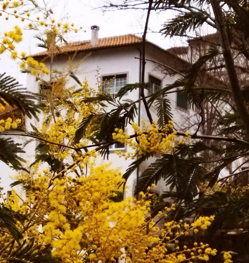 ホテル Casa Do Rio テルマス・デ・サン・ペードロ・ド・スル エクステリア 写真